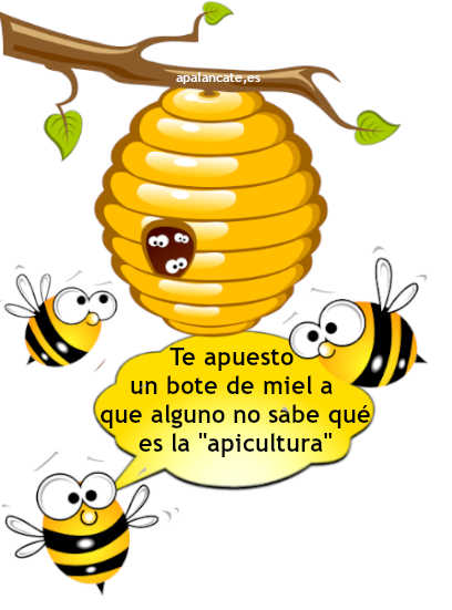 apicultura economia